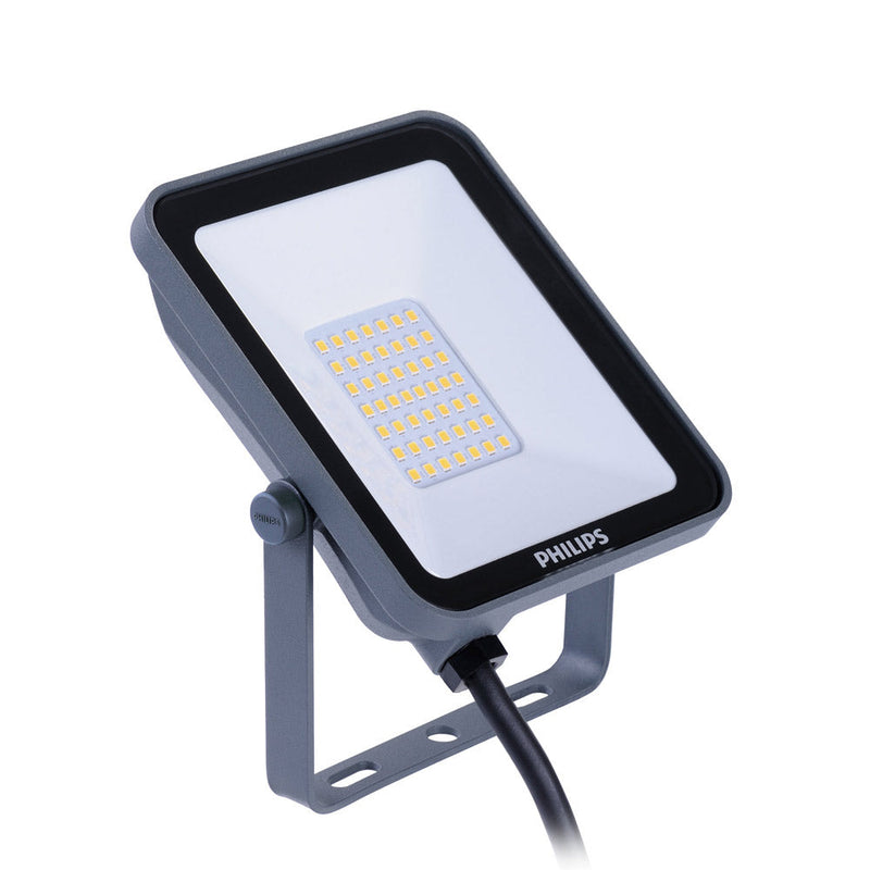 Philips Ledinaire 10W LED Floodlight - Black/White